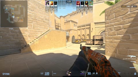 Clip #41231