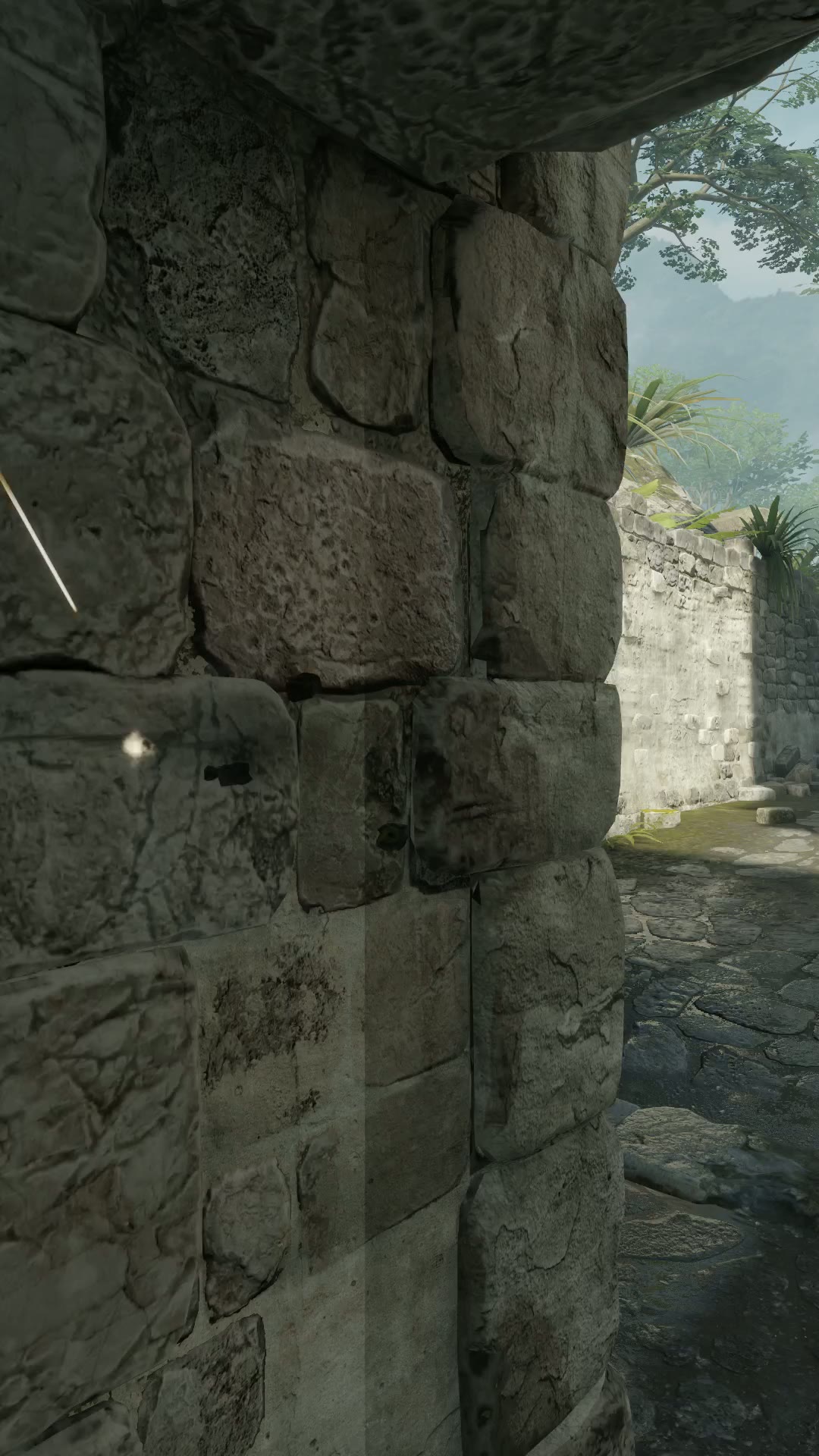 Clip #41289