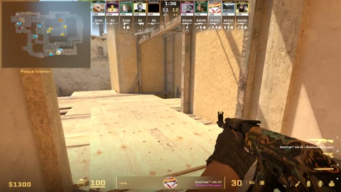 Clip #42863