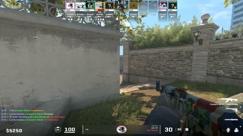 Clip #43759