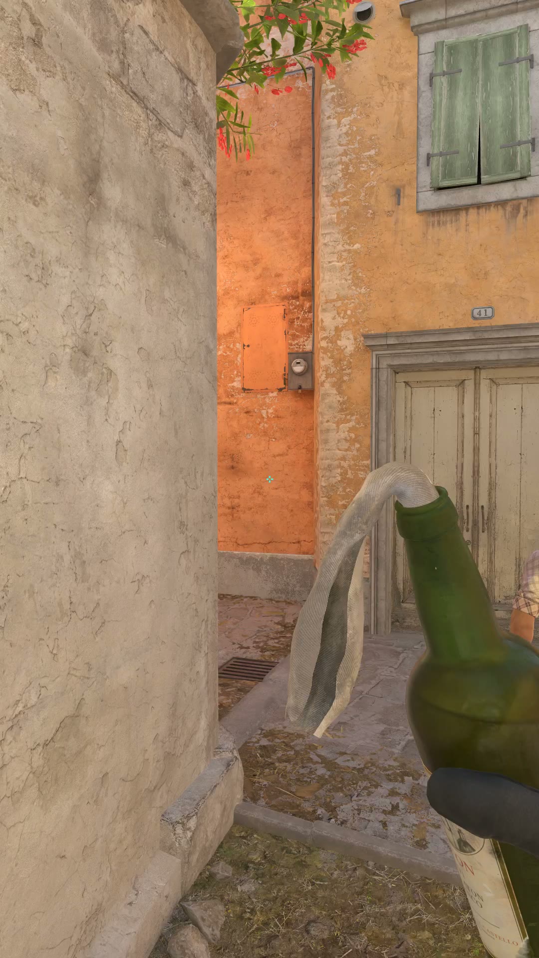Clip #43844