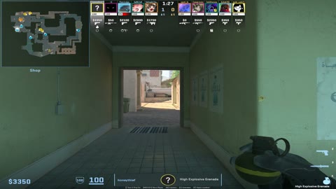 Clip #43895