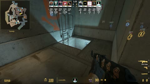 Clip #44302