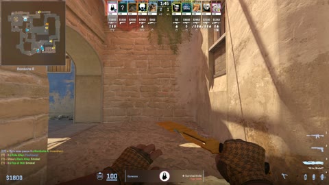 Clip #45219