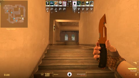 Clip #45221