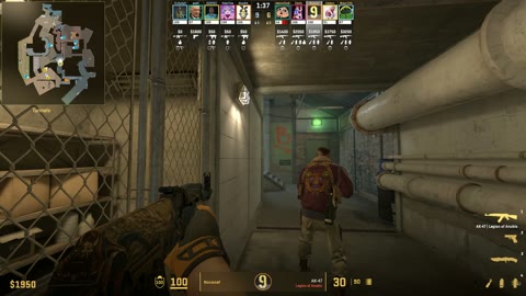 Clip #45384