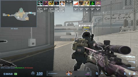 Clip #45391