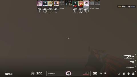 Clip #47506