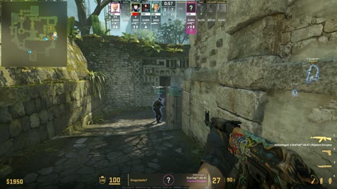 Clip #48016