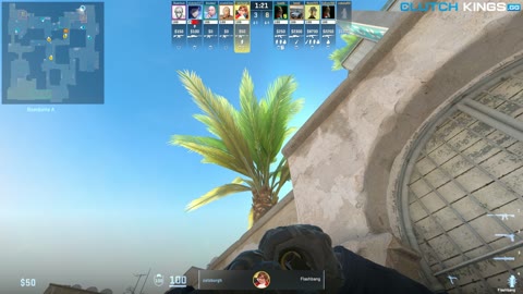 Clip #50100