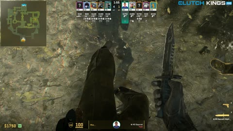 Clip #50356