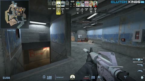 Clip #50431