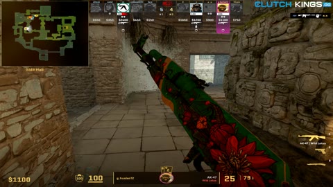 Clip #51849