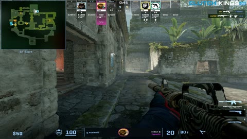 Clip #52231