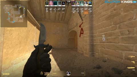 Clip #52534