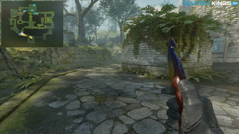 Clip #68225
