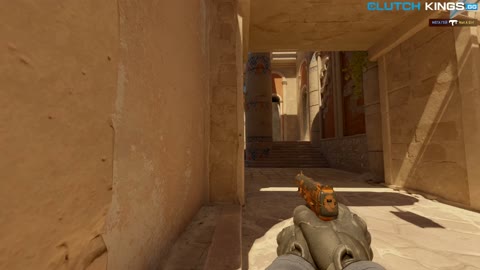 Clip #68234