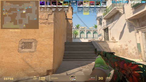 Clip #69306