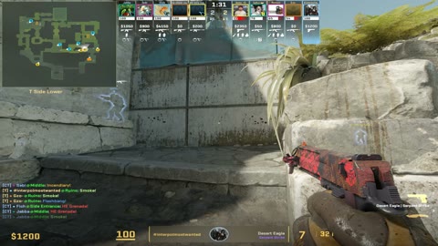 Clip #77316