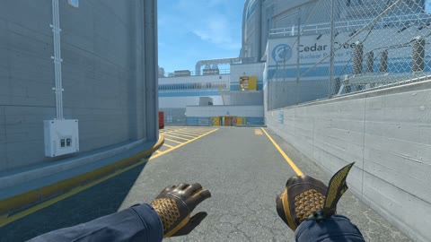 Clip #79003
