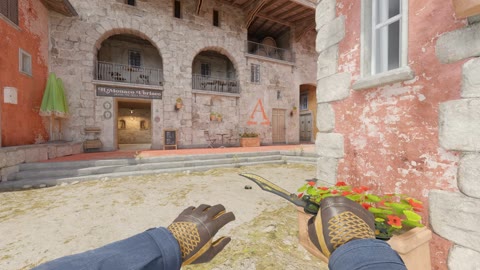 Clip #79801