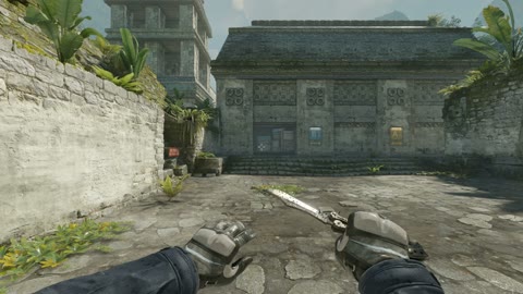 Clip #79811