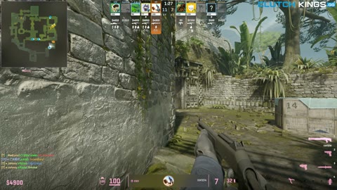 Clip #81351