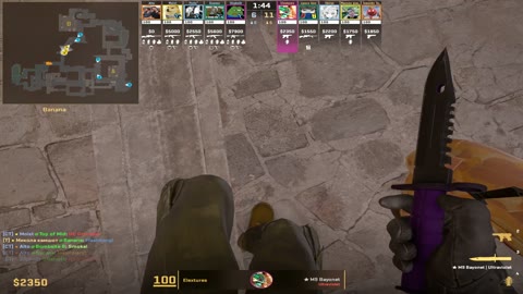 Clip #81794