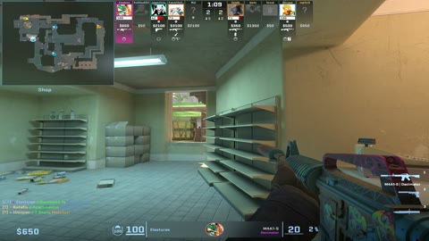 Clip #82034
