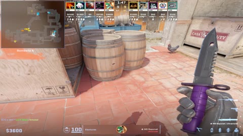 Clip #82051
