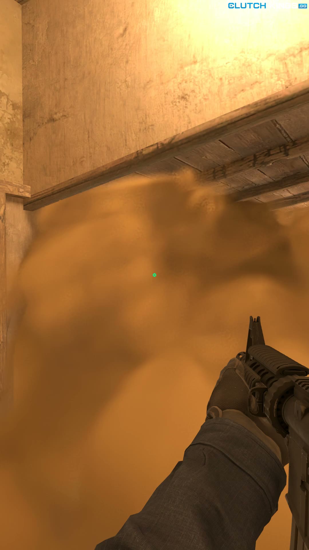 Clip #82135