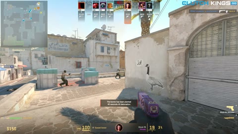 Clip #83483