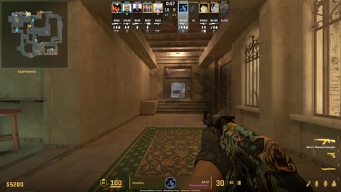 Clip #8367