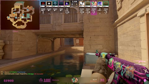Clip #86462