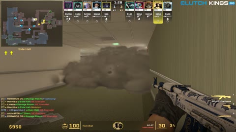 Clip #87655