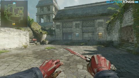 Clip #89019