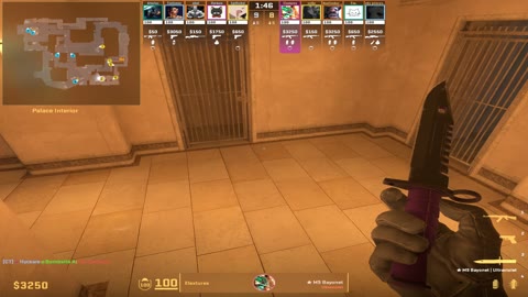 Clip #89446