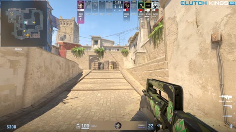 Clip #92336