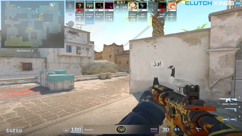 Clip #93916