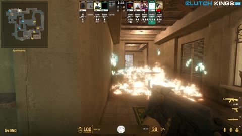 Clip #95006