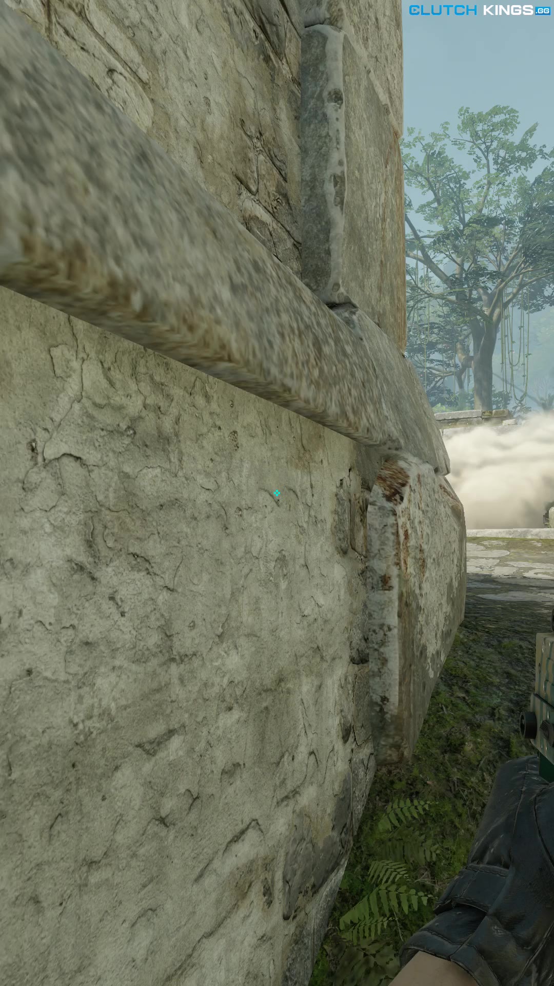 Clip #95141