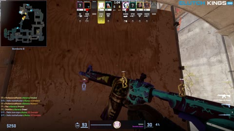 Clip #96293