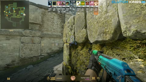 Clip #98782