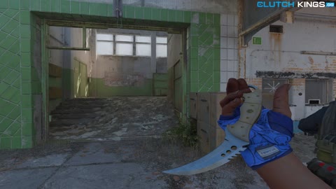 Clip #99495