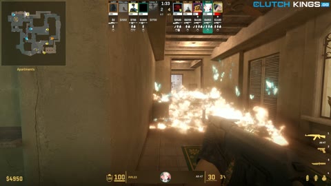 Clip #99721