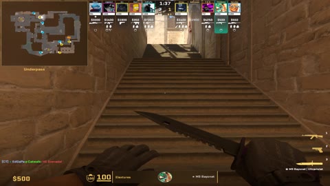 Clip #99881