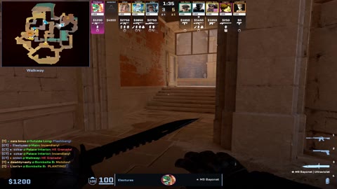 Clip #99898